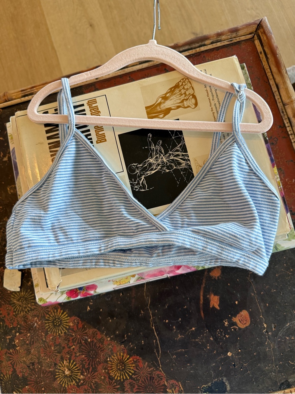 Brandy Melville Blue & White Striped Triangle Bralette